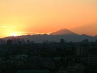 都会からの富士山